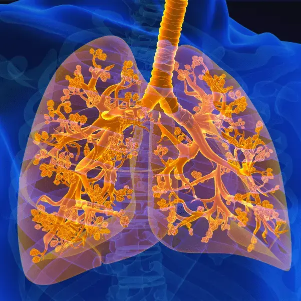 Defense Against Infection Eakin Healthcare