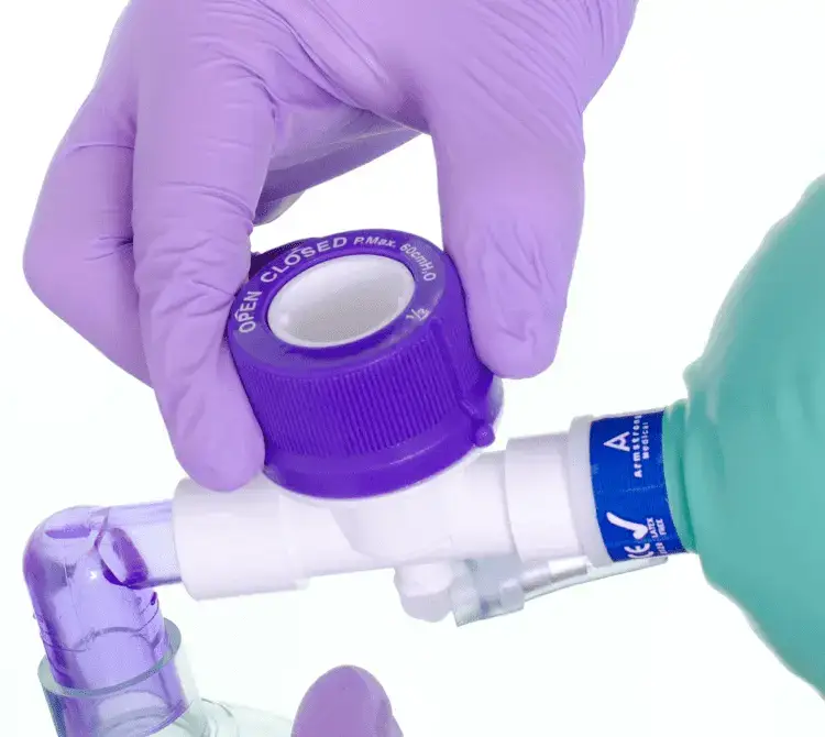 A Mapleson C Ciruit attached to a breathing bag