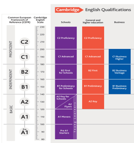 Health Literacy graph